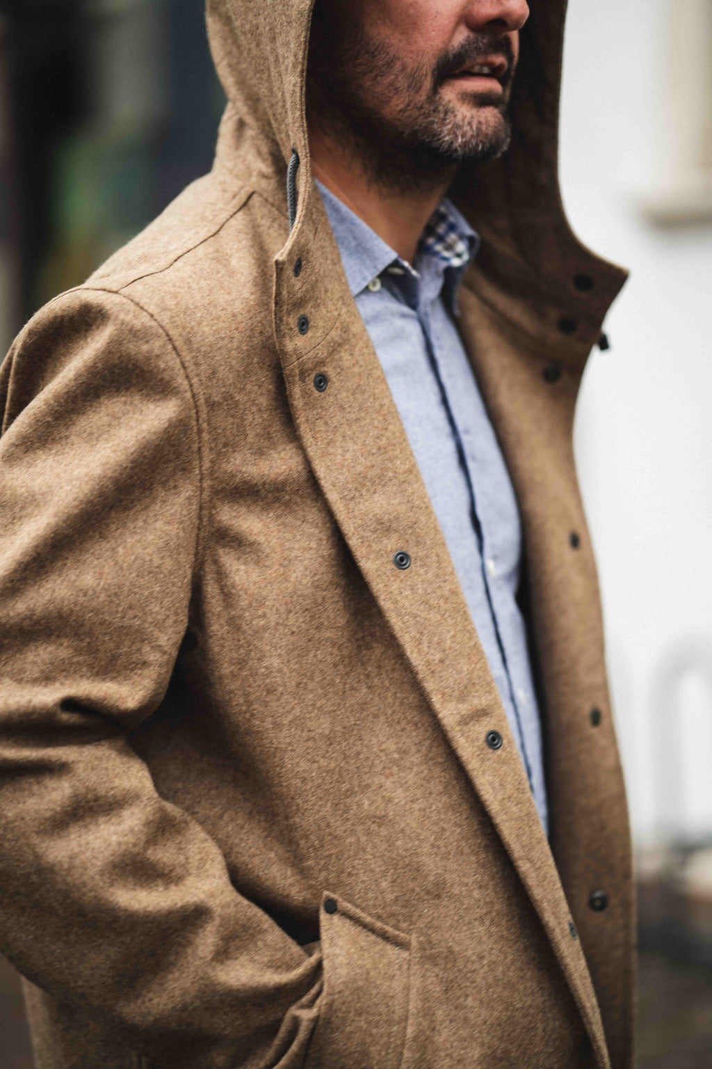 AP Ludovico Hazelnut